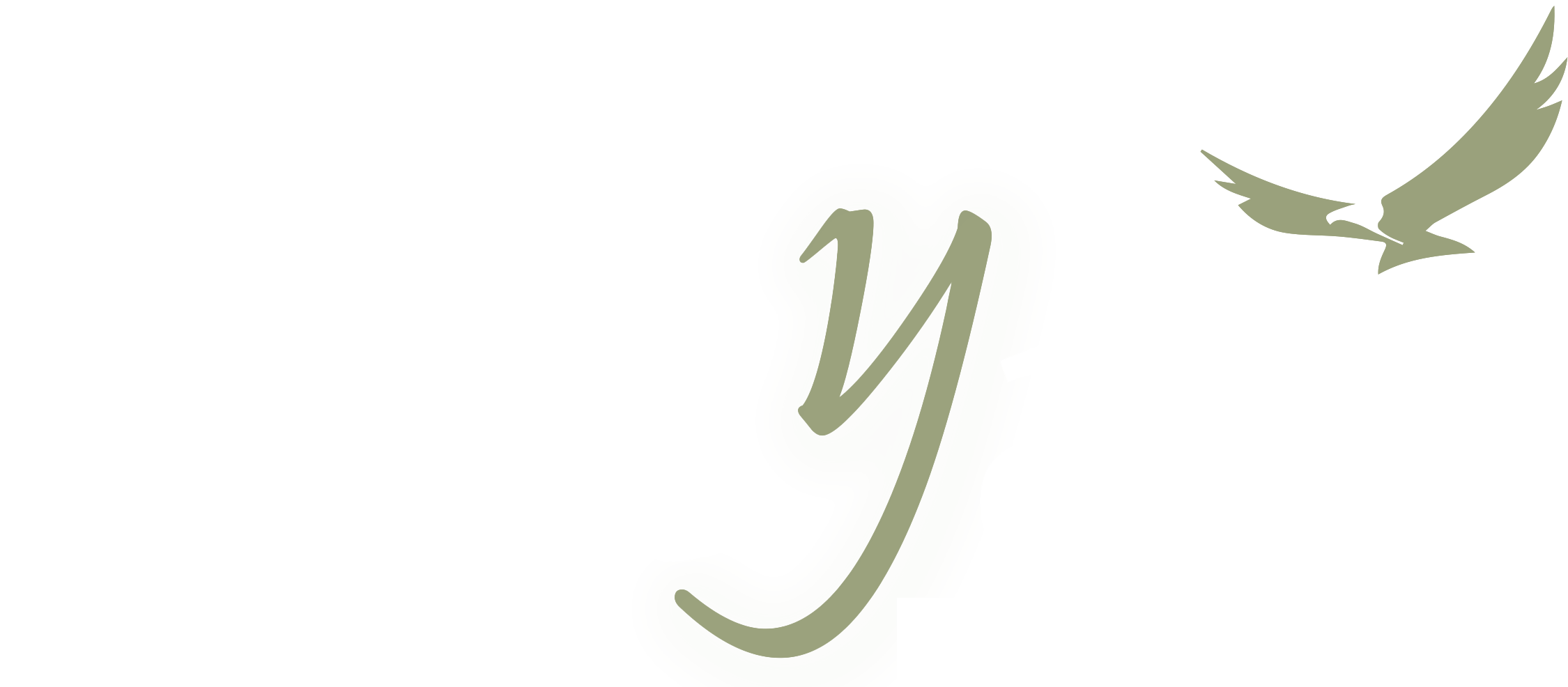 Partyard Military